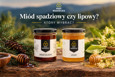 miód spadziowy czy miód lipowy - który wybrać?